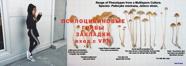 каннабис Алзамай