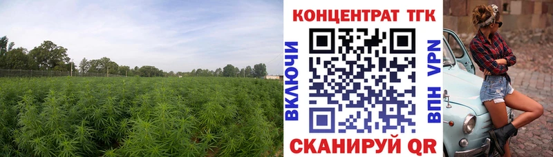 Дистиллят ТГК Wax  купить  сайты  Большой Камень 