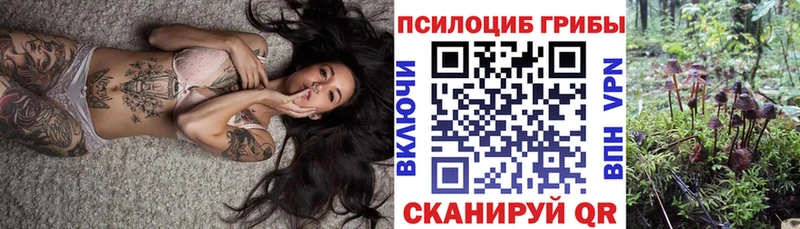Псилоцибиновые грибы Psilocybine cubensis  Большой Камень 